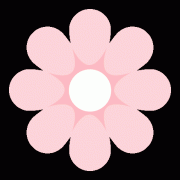 <strong>是逃求“老有所学”“老有所乐”</strong> 