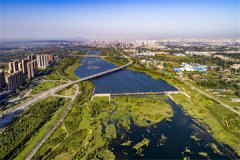 抓农业尺度化绿色化品牌化